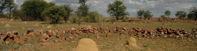 Thorntree Conservancy