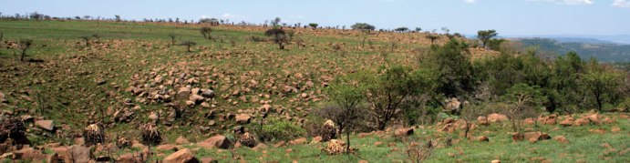Aloe Ridge Walkerville