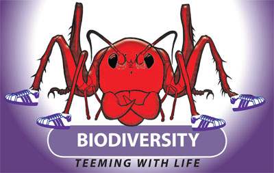 YeboGoggalogobiodiversity2010.jpg