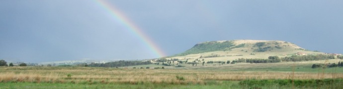 Perdeberg Mountain, Gauteng